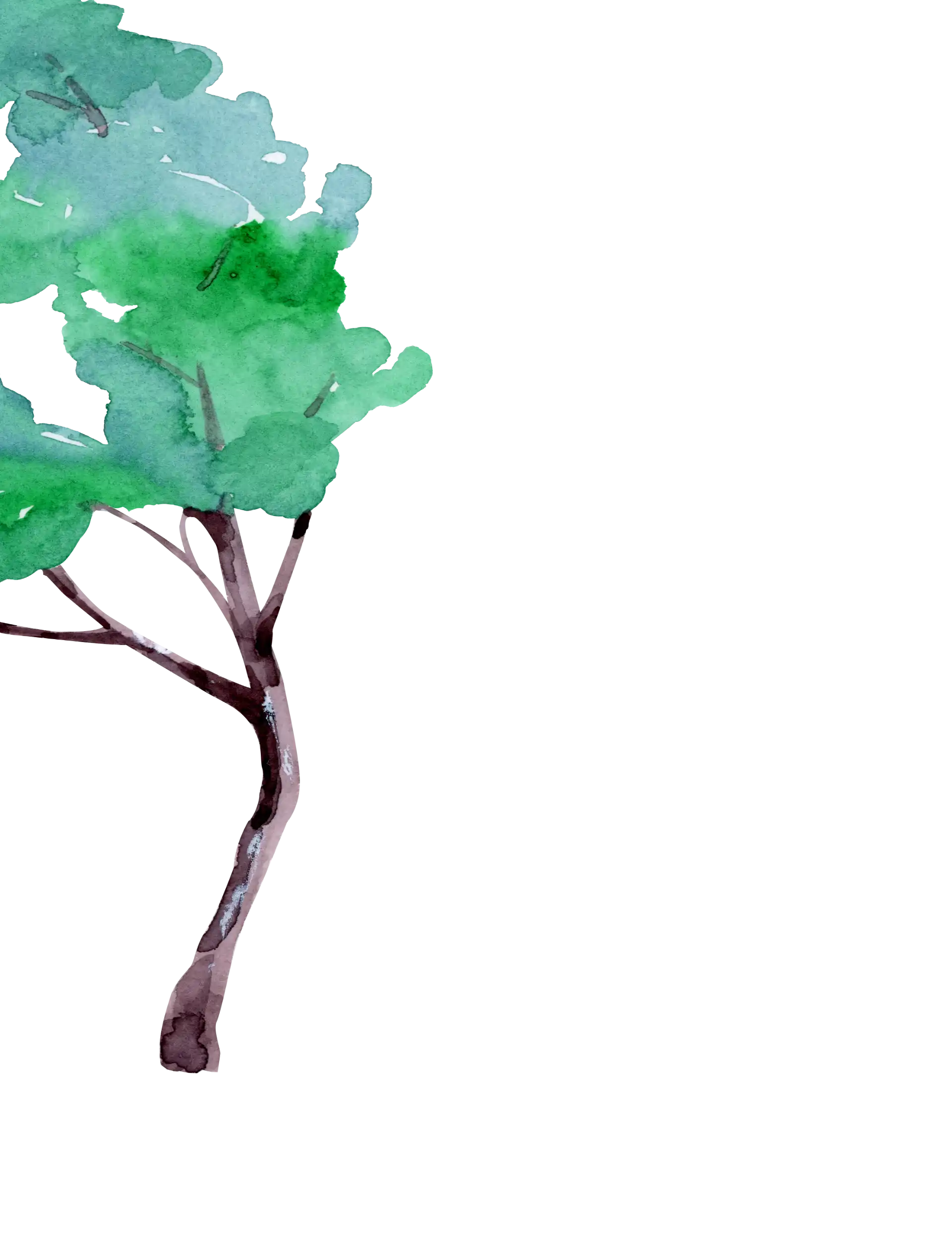 Baum 1 links für Parallax